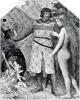 Die Saalnixe
